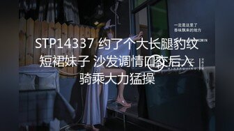 STP14337 约了个大长腿豹纹短裙妹子 沙发调情口交后入骑乘大力猛操