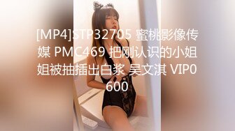 [MP4/921MB]麻豆傳媒 MDX0263 愛液與汗液的交織 梁芸菲