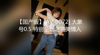 【国产版】[AV-0072] 大象号0.5 特别企划之完美情人