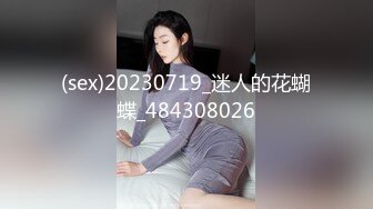 (sex)20230719_迷人的花蝴蝶_484308026