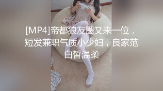 偷窥高颜值气质少妇嘘嘘