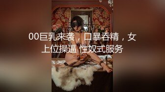 00巨乳来袭，口暴吞精，女上位操逼 性奴式服务