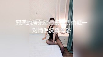 网调母狗1