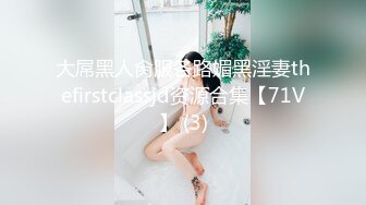 大屌黑人肏服各路媚黑淫妻thefirstclassjd资源合集【71V】 (3)