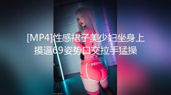 [MP4]性感裙子美少妇坐身上摸逼69姿势口交拉手猛操