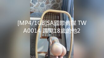 [MP4/1GB]SA國際傳媒 TWA0014 遇見18歲的他2