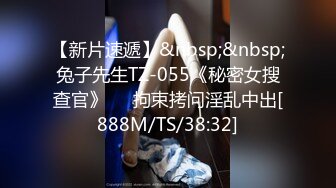 MDX-0033_神殿娱乐性爱影片外流实录_性玩物女孩的致富逆袭Ep3官网-夏晴子