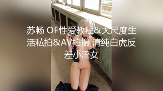 苏畅 OF性爱教程&大尺度生活私拍&AV拍摄 清纯白虎反差小淫女