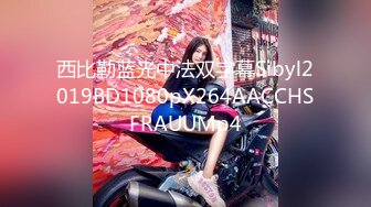 西比勒蓝光中法双字幕Sibyl2019BD1080pX264AACCHSFRAUUMp4