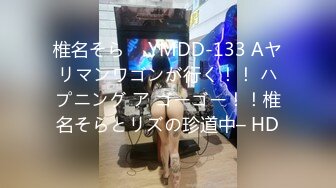 椎名そら ⨯ YMDD-133 Aヤリマンワゴンが行く！！ ハプニング ア ゴーゴー！！椎名そらとリズの珍道中– HD