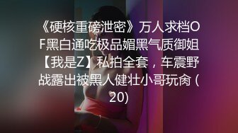 《硬核重磅泄密》万人求档OF黑白通吃极品媚黑气质御姐【我是Z】私拍全套，车震野战露出被黑人健壮小哥玩肏 (20)