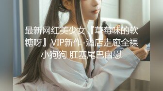 最新网红美少女『草莓味的软糖呀』VIP新作-酒店走廊全裸小狗狗 肛塞尾巴自慰