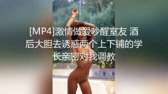 [MP4]激情做爱吵醒室友 酒后大胆去诱惑两个上下铺的学长亲密对我调教