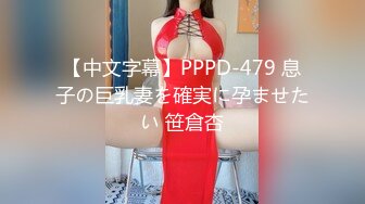 【中文字幕】PPPD-479 息子の巨乳妻を確実に孕ませたい 笹倉杏