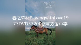 春之森林PlayingwithLove1977DVD5720P德意双语中字