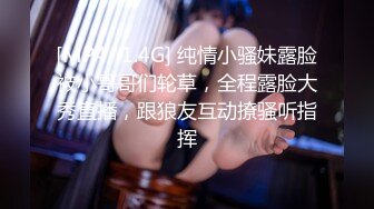 Al&mdash;斯嘉丽&middot;约翰逊 大黑吊入肛门