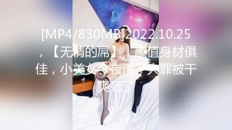 [MP4/1.1G]SWAG劇情檔：FeiFei的幻想高帥富舔玩道具後入抽插＆邀請同事家中共進晚餐酒後亂性潮噴 720p