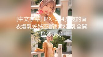 [中文字幕] IPX-324女友的著衣爆乳姊姊不斷對我巨乳全開猛烈示好