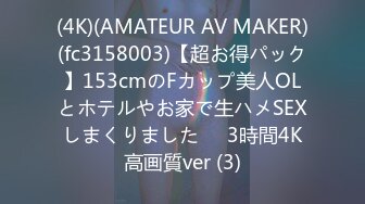 (4K)(AMATEUR AV MAKER)(fc3158003)【超お得パック】153cmのFカップ美人OLとホテルやお家で生ハメSEXしまくりました❤️3時間4K高画質ver (3)