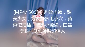 [MP4/ 509M] 豹纹内裤，甜美少女，炮友操多毛小穴，骑乘位抽插，肥唇小骚逼，白丝美腿，低低呻吟超诱人