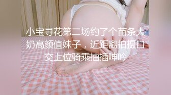 小宝寻花第二场约了个苗条大奶高颜值妹子，近距离拍摄口交上位骑乘抽插呻吟