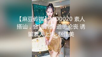 【麻豆传媒】MD0020 素人搭讪，金钱诱惑 道德沦丧 诱骗素人上床-赵佳美