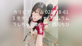 カリビアンコム 022718-611 生チンポデッサンでムラムラしちゃいました - 西川ちひろ