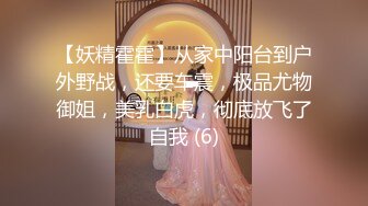 假吊插骚老婆