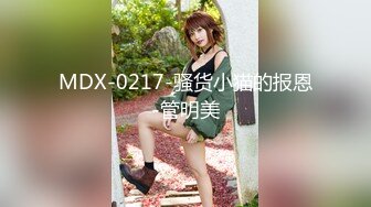 MDX-0217-骚货小猫的报恩-管明美