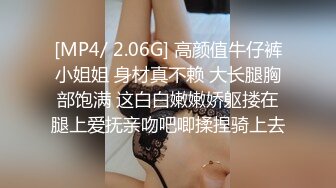 【JaneFishers】-完美胸型的白人主播，露脸自慰【33V】 (25)