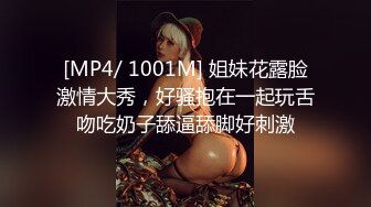 [2DF2] 外围小姐姐，一把豪乳手感极佳，风月老手调情在线教学[MP4/104MB][BT种子]