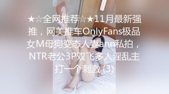 ★☆全网推荐☆★11月最新强推，网美推车OnlyFans极品女M母狗变态人妻ann私拍，NTR老公3P双飞多人淫乱主打一个刺激 (3)