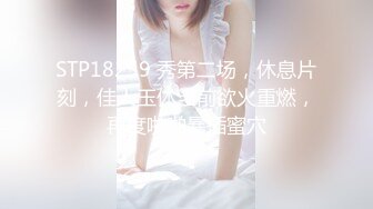 杨幂猫女郎