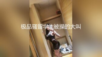 极品骚留学生被操的大叫