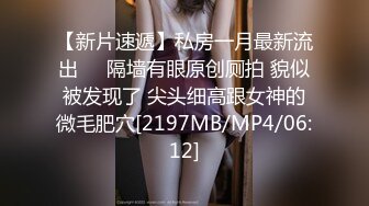 国产AV 大象传媒 淫荡人妻家政妇