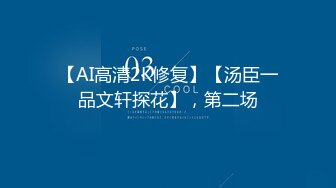 【AI高清2K修复】【汤臣一品文轩探花】，第二场