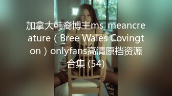 加拿大韩裔博主ms_meancreature（Bree Wales Covington）onlyfans高清原档资源合集 (54)