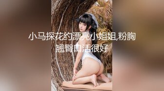 小马探花约漂亮小姐姐,粉胸翘臀口活很好