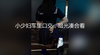 小少妇车里口交，暗光凑合看