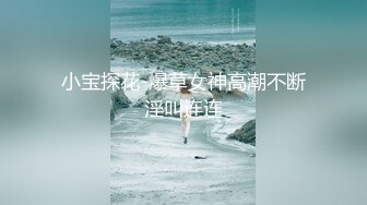 小宝探花-爆草女神高潮不断淫叫连连