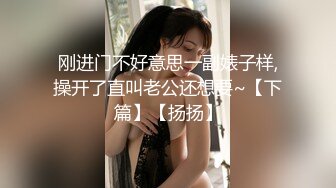 刚进门不好意思一副婊子样,操开了直叫老公还想要~【下篇】【扬扬】