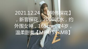 2021.12.24，【阿伟探花】，新晋探花，2000试水，约外围女神，165cm，24岁，温柔甜美【MP4/537MB】