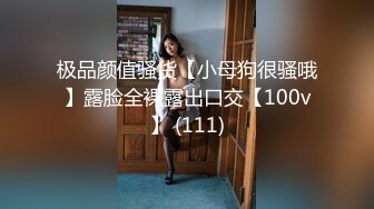 极品颜值骚货【小母狗很骚哦】露脸全裸露出口交【100v】 (111)