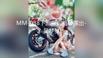 MM-088下流母狗羞耻露出-吴梦梦