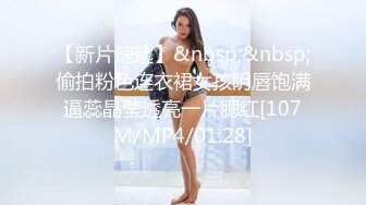 小仙女-女室友自慰到一半被爆操