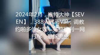 2024年2月，推特大神【SEVEN】，388人民币VIP，调教约啪多位女奴，完整福利一网打尽，最新流出