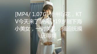 [MP4/ 1.07G] 卅卅寻花，KTV今天来了新人，19岁刚下海小美女，一对美乳，强迫抚摸玩得爽