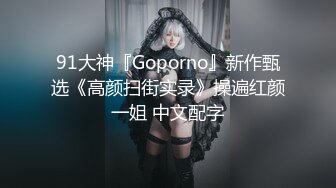 91大神『Goporno』新作甄选《高颜扫街实录》操遍红颜一姐 中文配字