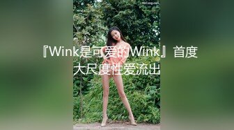 『Wink是可爱的Wink』首度大尺度性爱流出