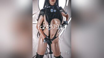 STP32220 放浪传媒 FX0003 傲慢女上司 苏雨彤